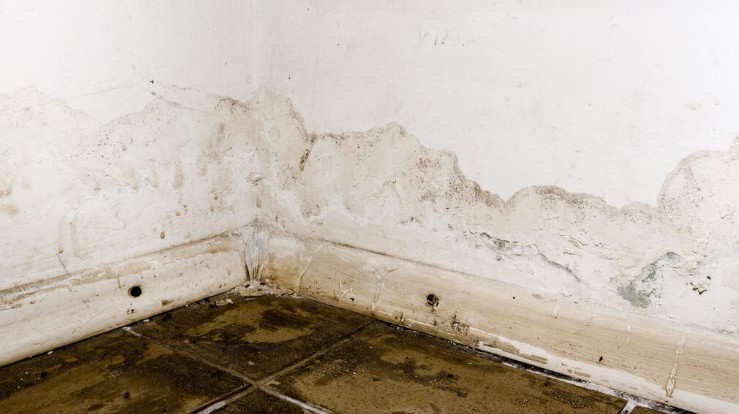 How Does the Water Damage Restoration Process Work